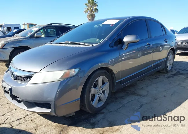 19XFA16619E028984: 44187250