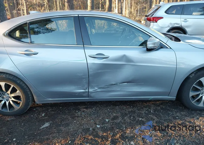 19UUB1F30FA005755: 44187285