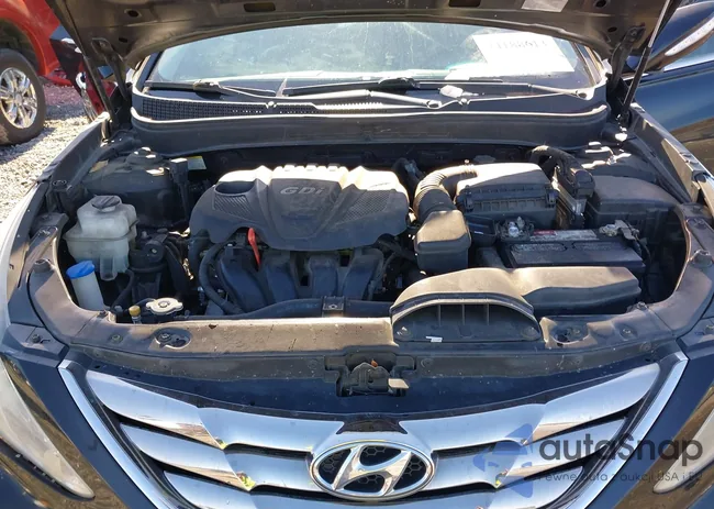 5NPEC4AC6DH523223: 44188613