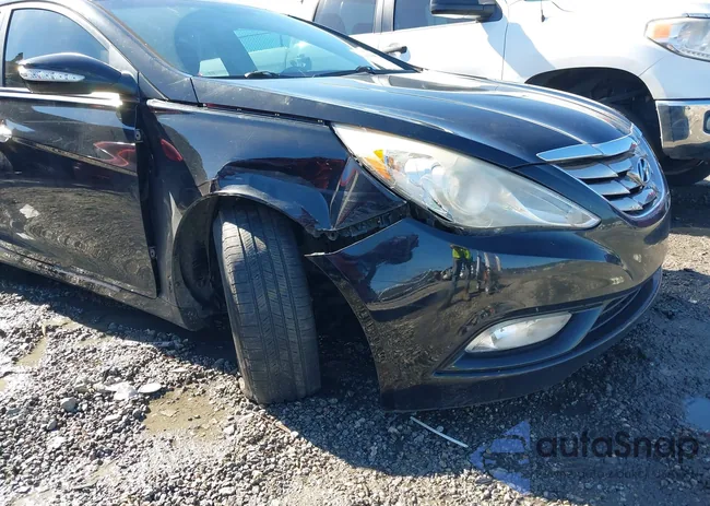 5NPEC4AC6DH523223: 44188613