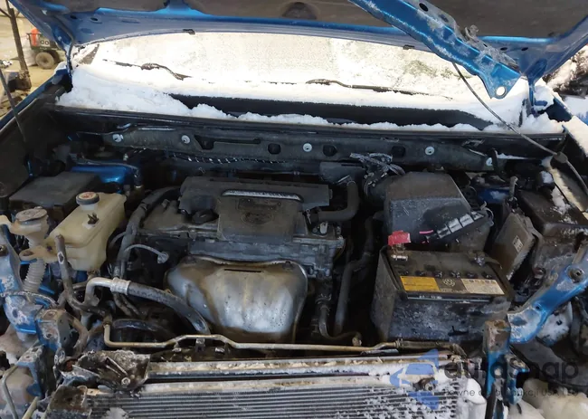 JTMJFREV1JJ723041: 44188671