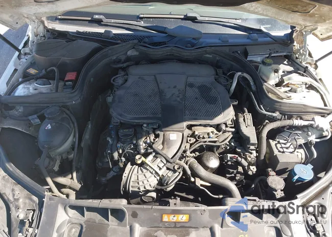 WDDGF8AB8EA956782: 44188821