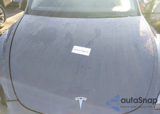 7SAYGDEE0PA172079: 44188833