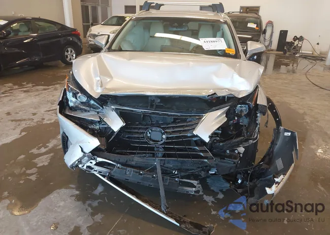 JTJBJRBZ8K2114029: 44188977