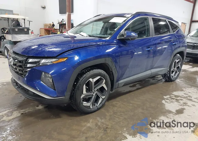 5NMJFCAE0PH222837: 44189411