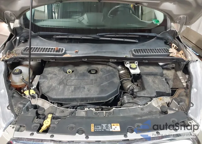 1FMCU9J99JUD34505: 44189901