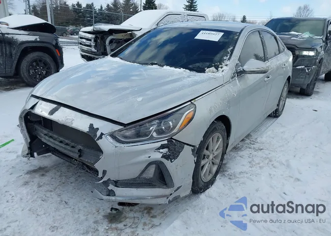 5NPE24AFXKH773896: 44189927