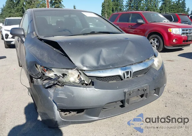 2HGFA1F54BH503725: 44189240