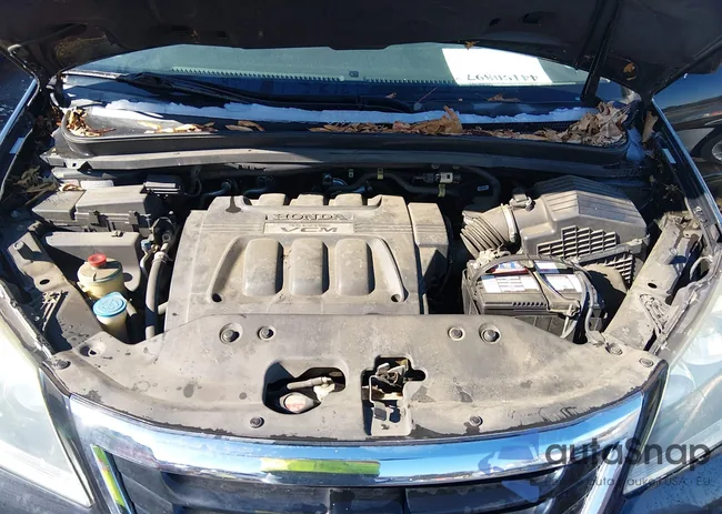 5FNRL38719B037770: 44190897