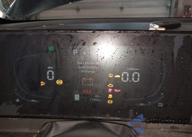 KNDPVCDG4S7207350: 44190102