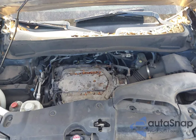 5FNYF4H20BB100361: 44191419