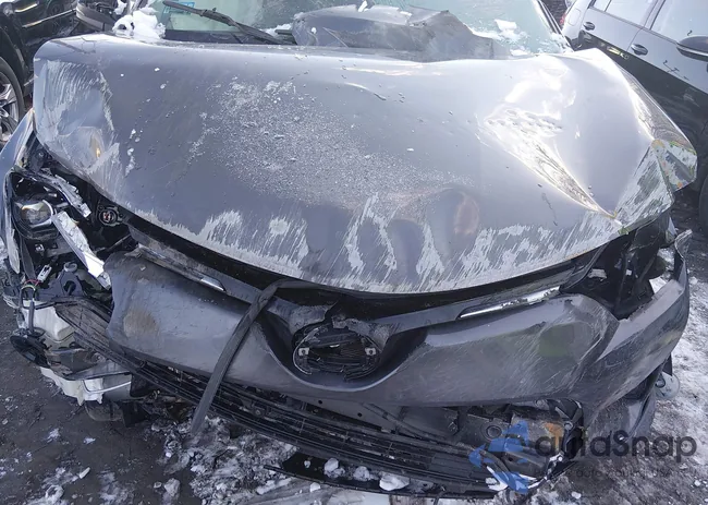 JTMDFREVXJJ209914: 44191620