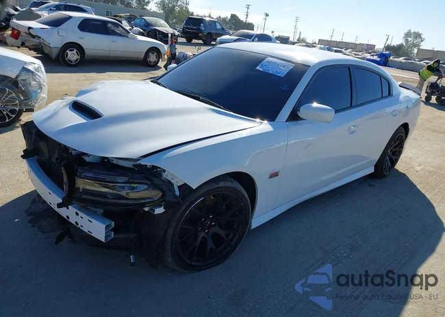 2C3CDXGJ1LH255236: 44191797