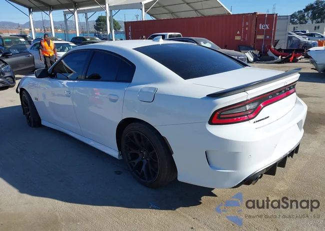 2C3CDXGJ1LH255236: 44191797