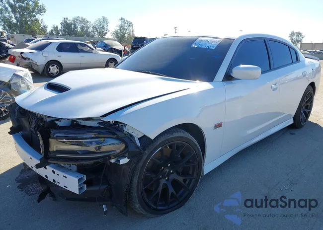 2C3CDXGJ1LH255236: 44191797