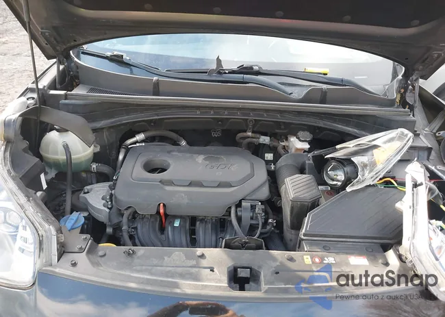 KNDP63AC9L7731948: 44191820