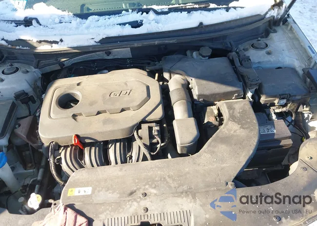 5NPE24AF1FH114479: 44191853