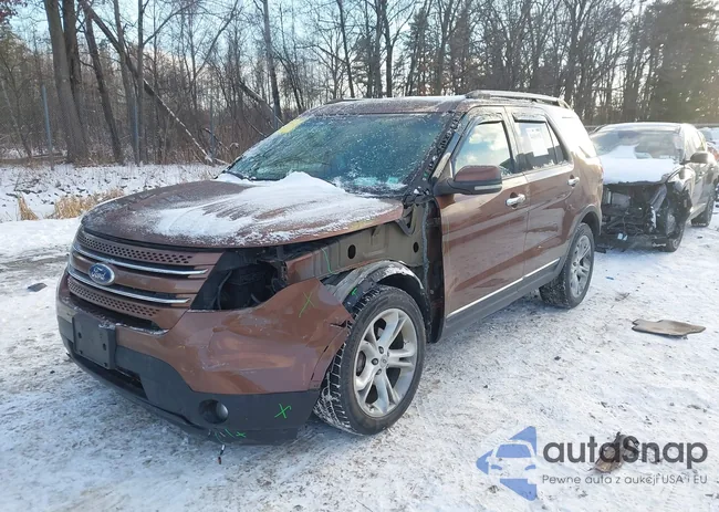 1FMHK8F87BGA63238: 44191931