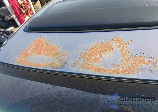 1N4AL2AP4CC241300: 44191223