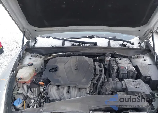 5NPEL4JA0MH113743: 44192496