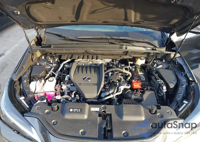 2T2GGCEZXTC095093: 44192565