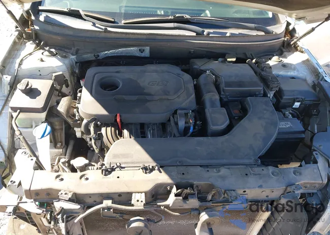 5NPE24AF8HH471810: 44192777