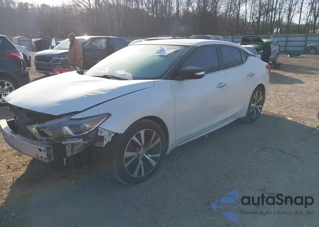 1N4AA6AP6HC396242: 44193551