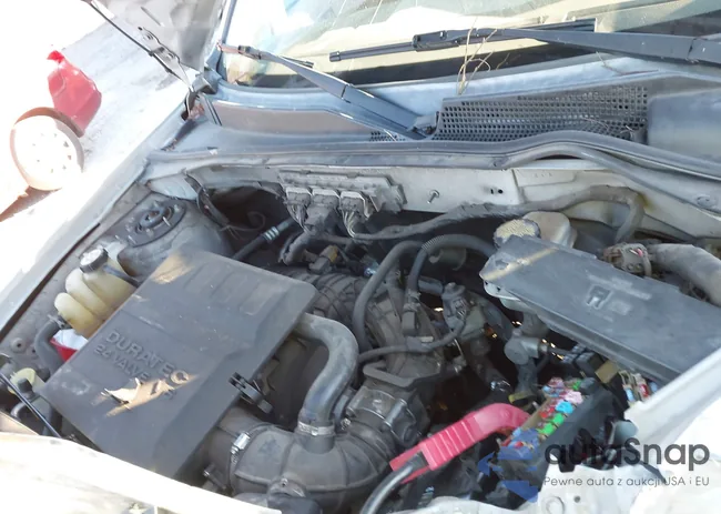 1FMCU93GX9KB77344: 44193934