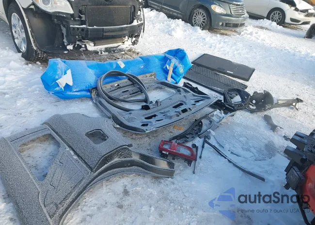 3FMCR9G69RRE90321: 44193247