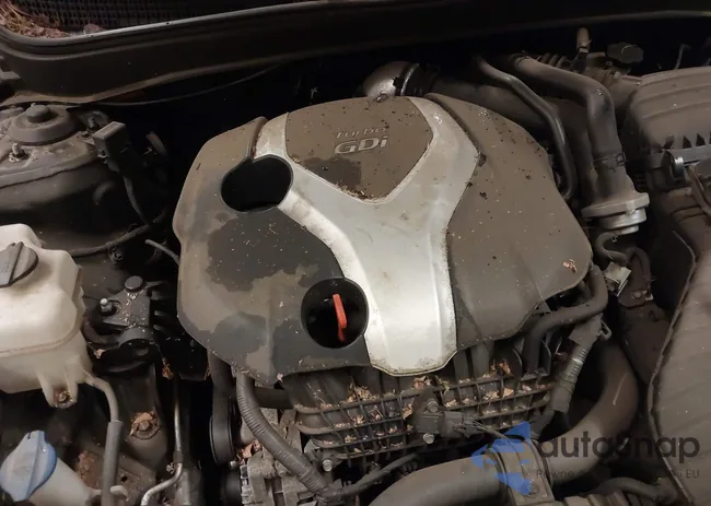 5NPEC4AB8EH933286: 44194431