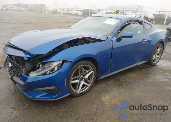 1FA6P8TH2R5137856: 44194490