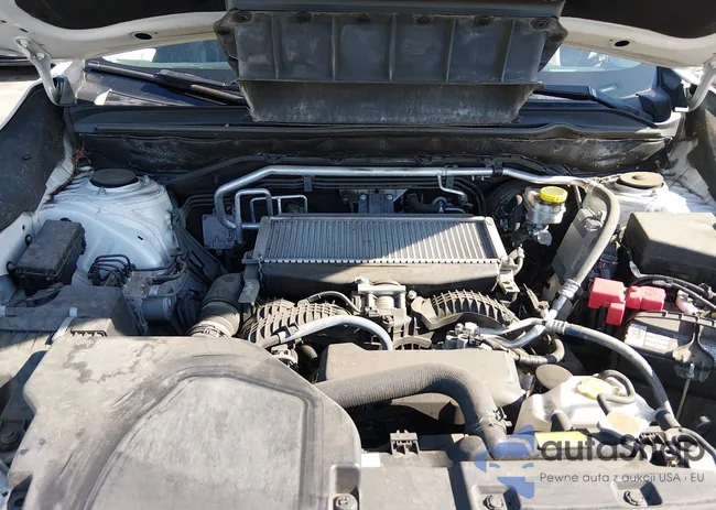 4S4WMAMD3M3453403: 44194503