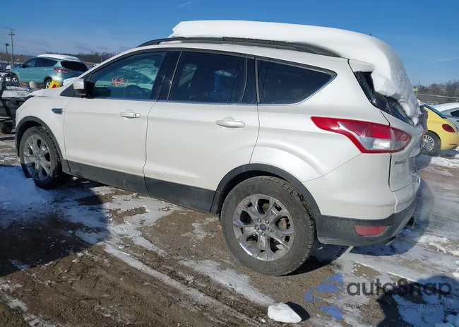 1FMCU9G97FUC45630: 44194631