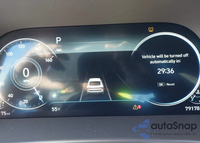 5NPEJ4J21LH020890: 44194716