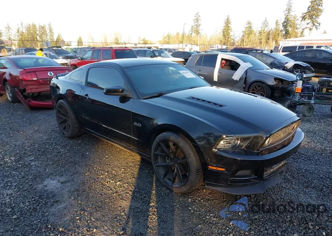 1ZVBP8CF1E5275337: 44194037