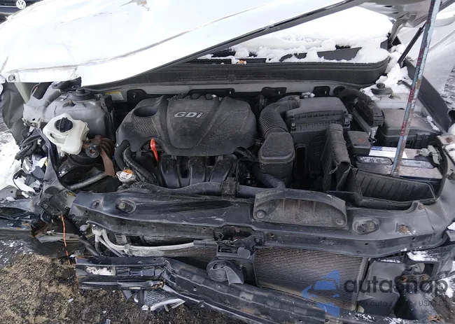 5NPEC4AC4DH638869: 44194113