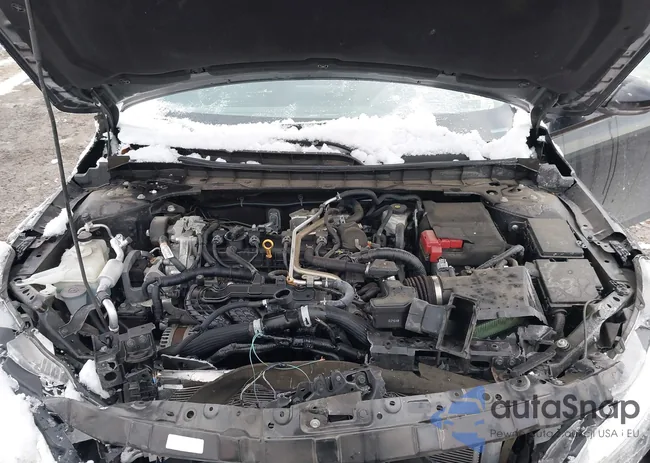 1N4BL4CV5MN338863: 44194164