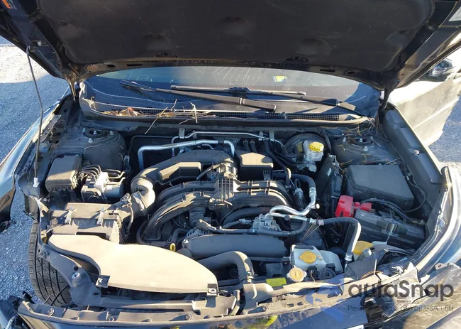 4S4BTADC7M3108187: 44194242