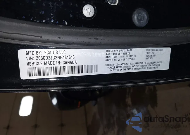 2C3CDZJG2NH181613: 44195524