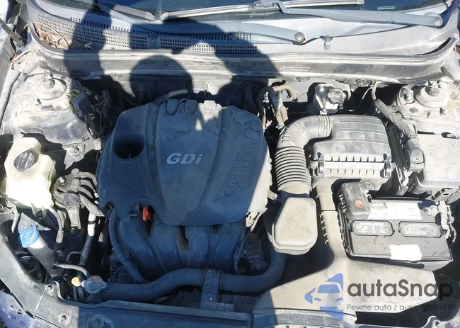 5NPEC4AC9DH697870: 44195815