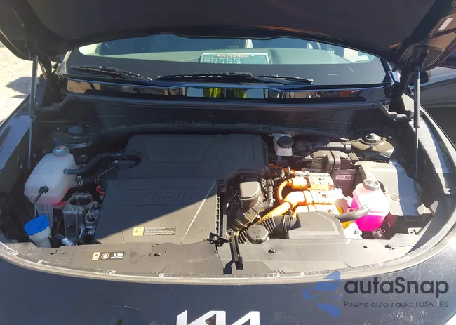 KNDCT3LE5P5103070: 44195900