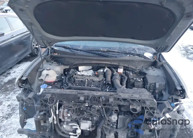 5NTJCDAF4PH050503: 44195950