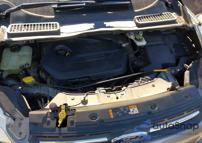 1FMCU9GX6EUE08832: 44195176