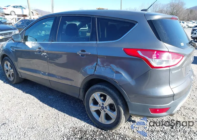 1FMCU9GX6EUE08832: 44195176