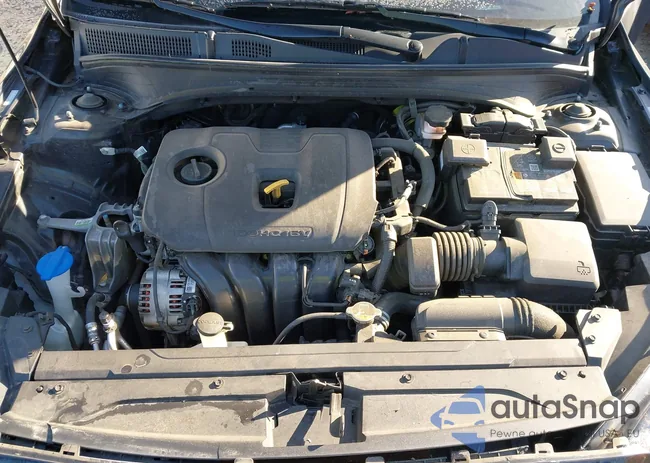 3KPF54AD0PE619252: 44195186