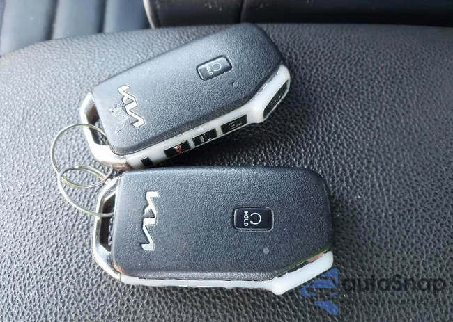 3KPF54AD0PE619252: 44195186