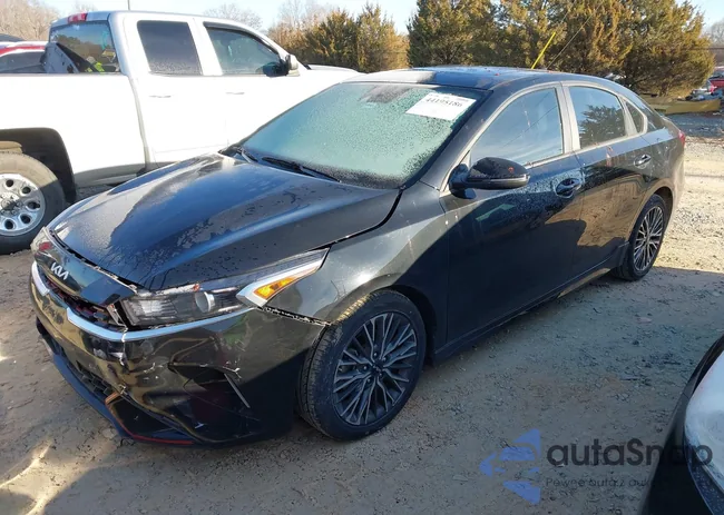 3KPF54AD0PE619252: 44195186