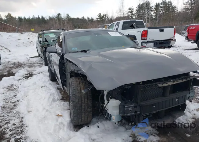 1FA6P8TH9R5103011: 44195196