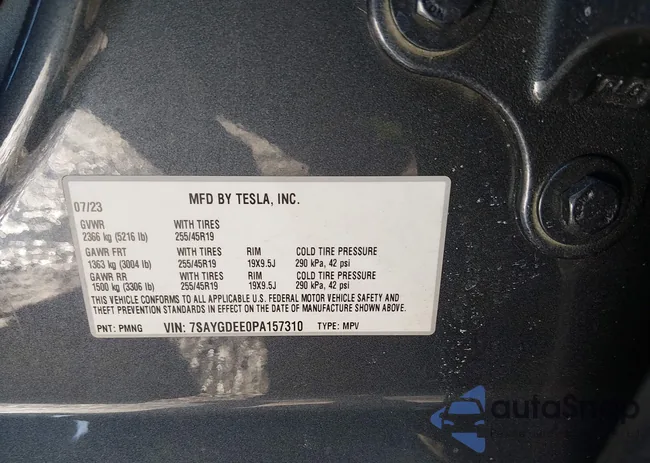 7SAYGDEE0PA157310: 44195204