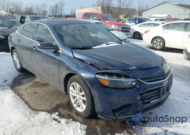 1G1ZE5ST6HF153853: 44195224